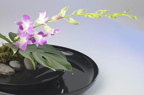 ikebana