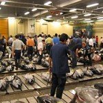 Tsukiji, el mercado de pescado más grande del mundo