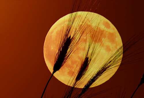 Luna Llena de Octubre